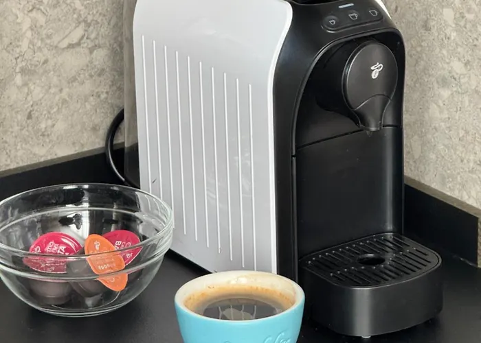 Sarmi - Centrul Constantei